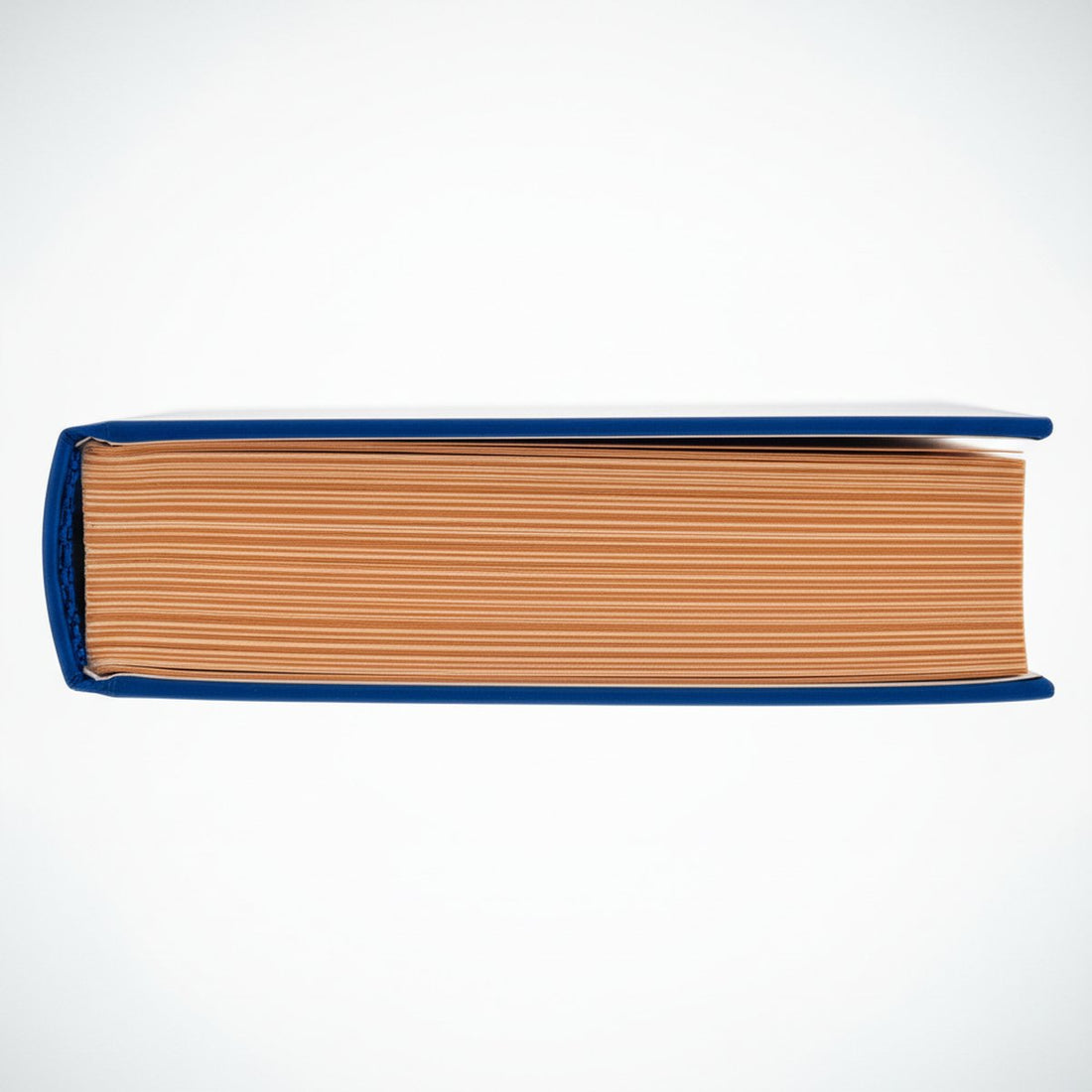 Interface Notebook paper fore-edge pages x-ray lightbox