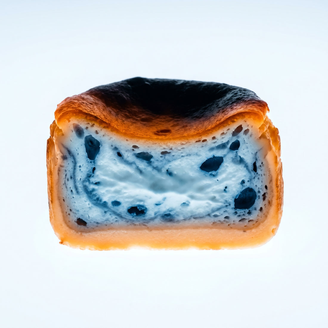 Basque burnt cheesecake, San Sebastián, x-ray lightbox