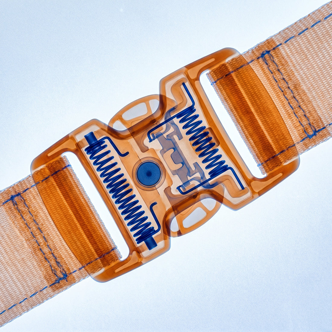 Magnetic buckle mechanism in x-ray style on illuminated lightbox, amber-orange outer body with cobalt blue internal spring and magnetic components visible