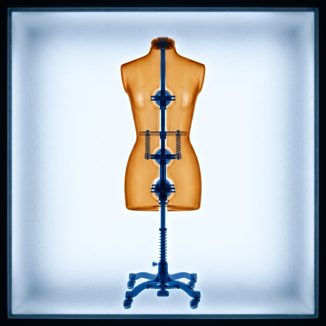 Dressmaker's dummy in x-ray style on illuminated lightbox, amber-orange outer form with cobalt blue internal armature visible