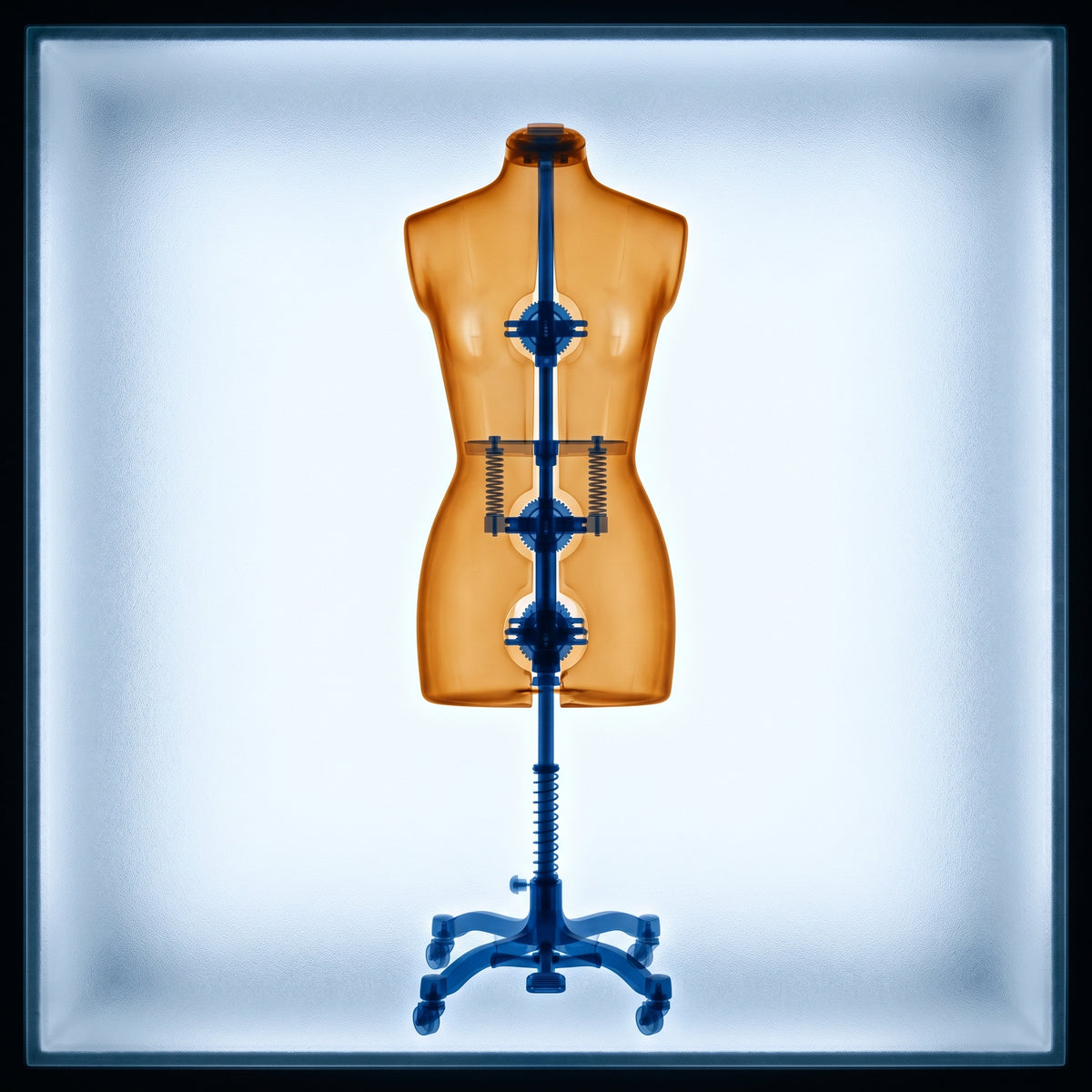 Dressmaker's dummy in x-ray style on illuminated lightbox, amber-orange outer form with cobalt blue internal armature visible