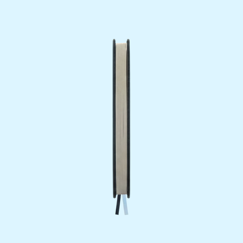 Interface Notebook