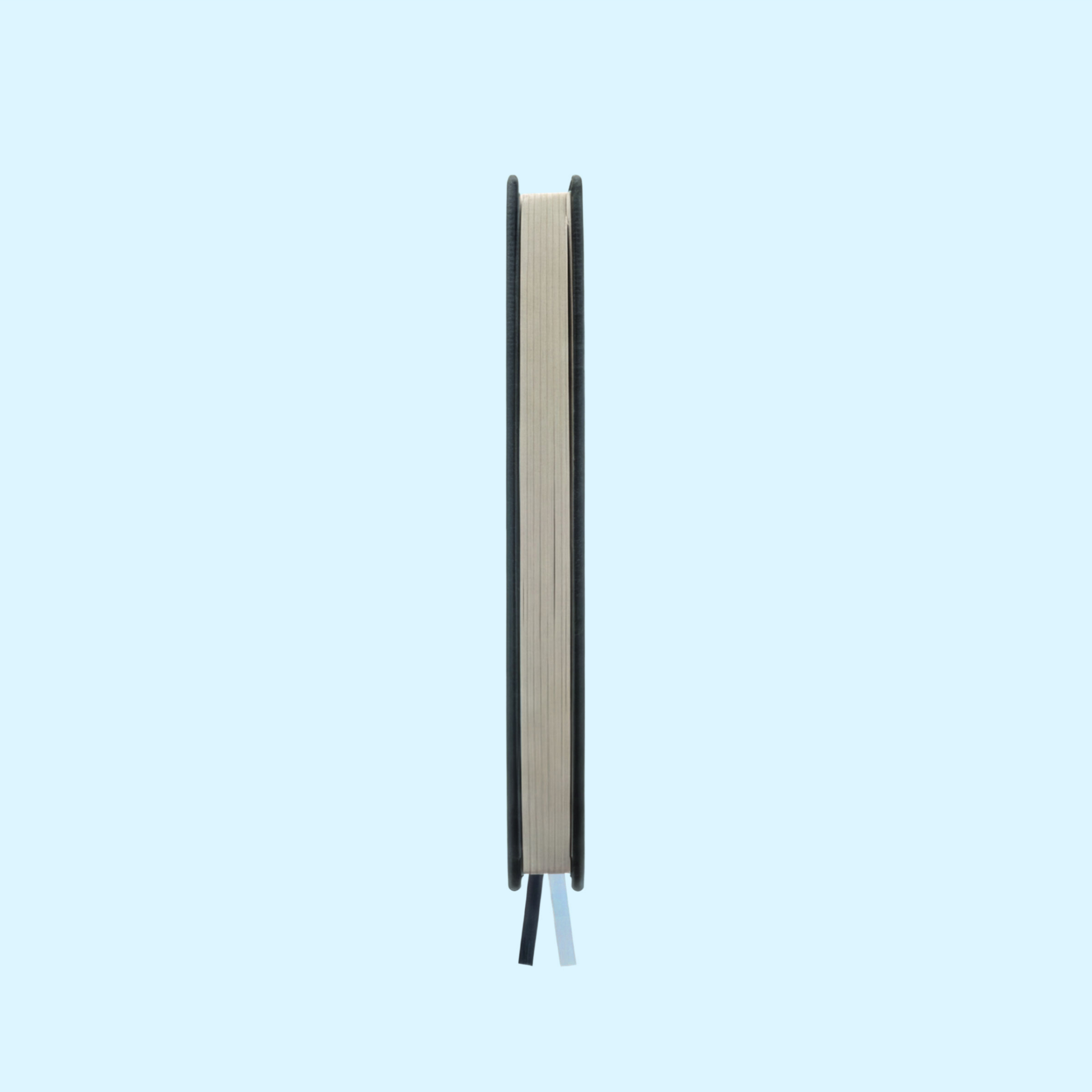 Interface Notebook